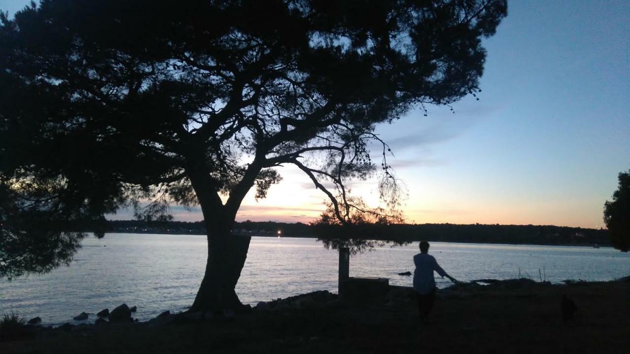 Apartments Stojakovic Poreč Dış mekan fotoğraf